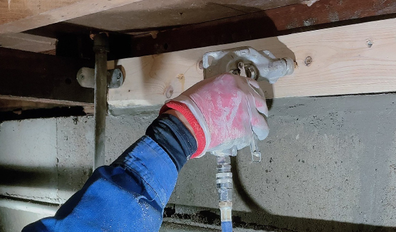 木部・穿孔処理