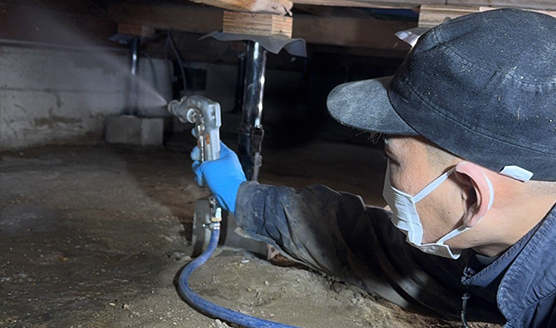 土壌・散布処理